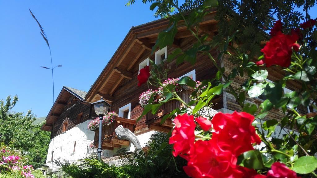 Agriturismo Raethia Isolaccia Exterior foto